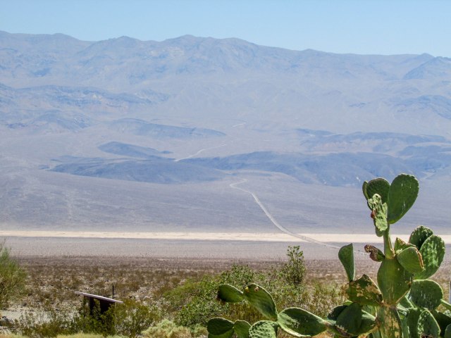 deathvalley-usa-park-californie-road-cactus-desert